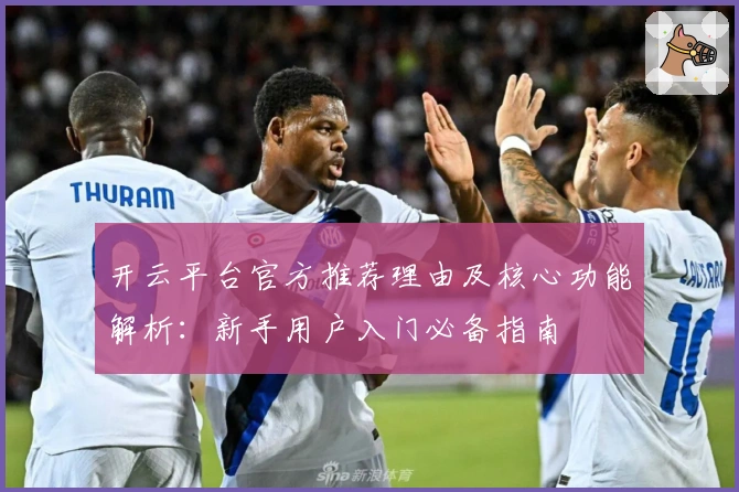 开云平台官方推荐理由及核心功能解析:新手用户入门必备指南